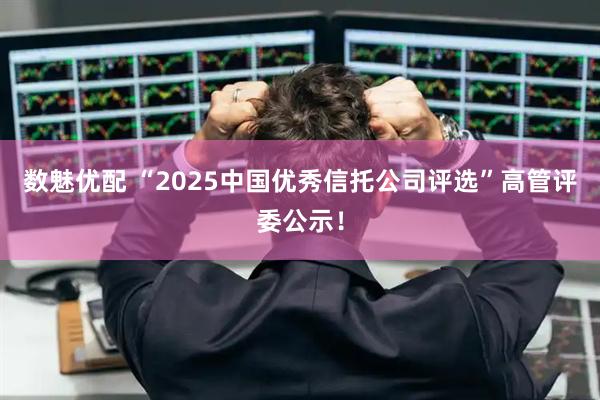 数魅优配 “2025中国优秀信托公司评选”高管评委公示！